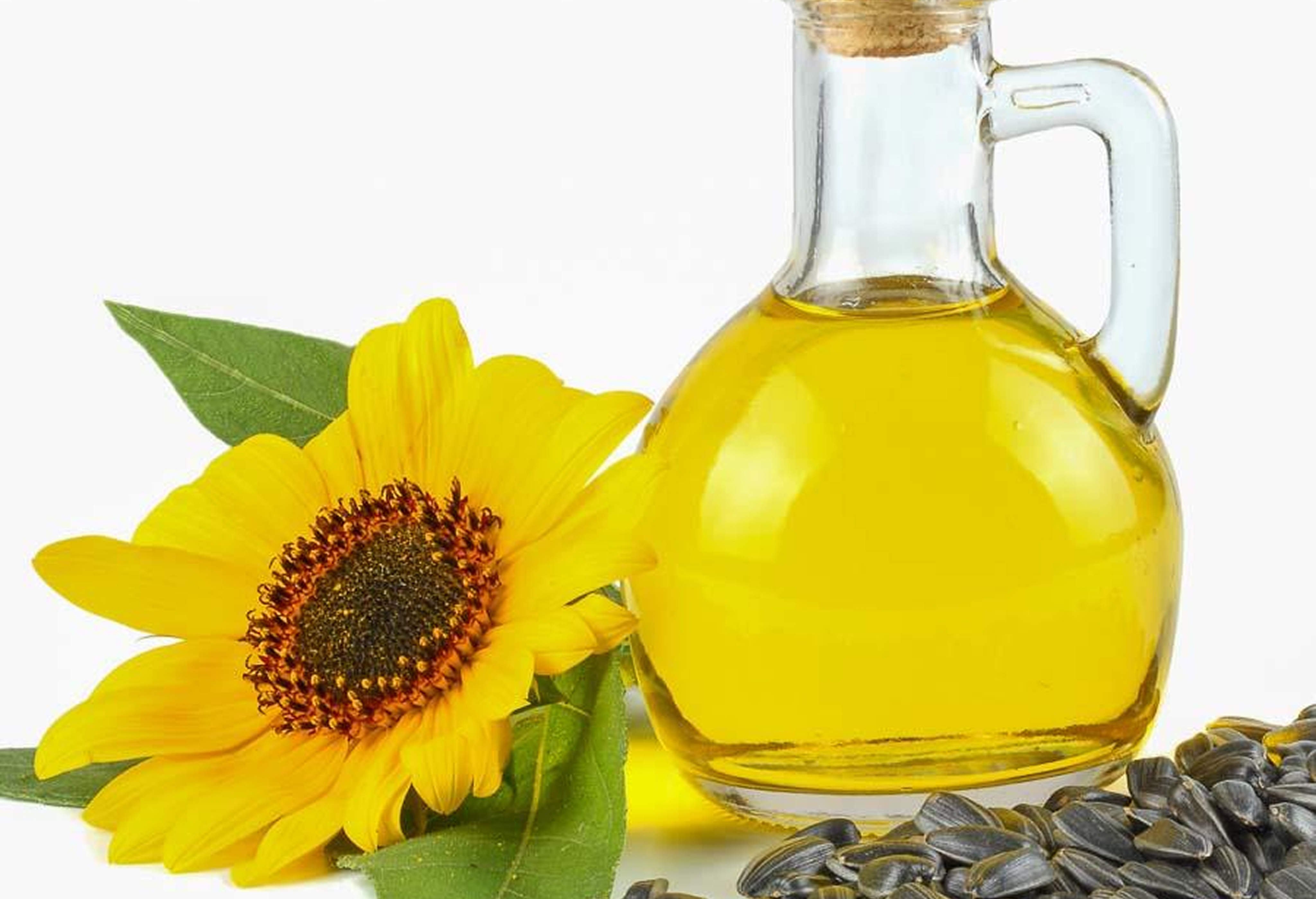 Sunflower Oil